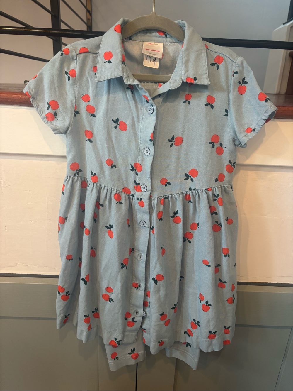 Hanna Andersson Light Blue Button-Front Dress with Orange Fruit Print